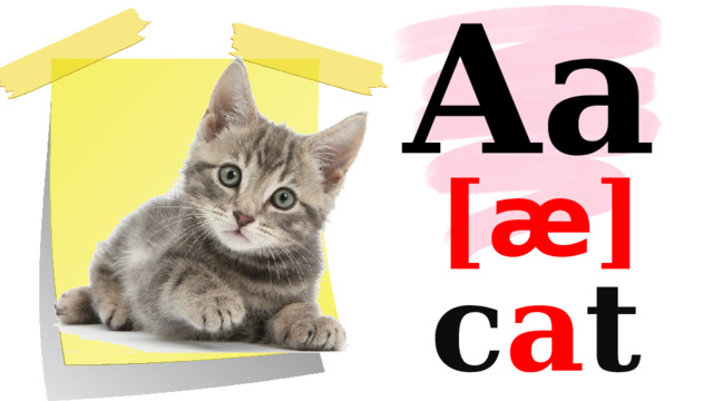 Aa [ æ ] c a t 