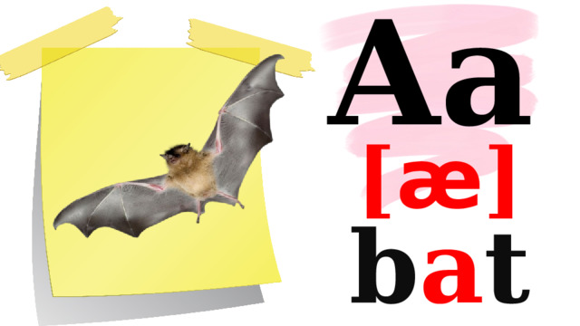 Aa [ æ ] b a t 