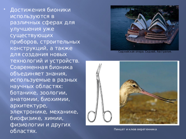 Достижения бионики используются в различных сферах для улучшения уже существующих приборов, строительных конструкций, а также для создания новых технологий и устройств. Современная бионика объединяет знания, используемые в разных научных областях: ботанике, зоологии, анатомии, биохимии, архитектуре, электронике, механике, биофизике, химии, физиологии и других областях. Сиднейская опера. Сидней, Австралия. Пинцет и клюв веретенника . 