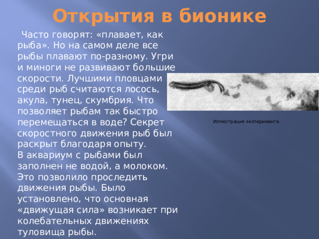Открытия в бионике  Часто говорят: «плавает, как рыба». Но на самом деле все рыбы плавают по-разному. Угри и миноги не развивают большие скорости. Лучшими пловцами среди рыб считаются лосось, акула, тунец, скумбрия. Что позволяет рыбам так быстро перемещаться в воде? Секрет скоростного движения рыб был раскрыт благодаря опыту. В аквариум с рыбами был заполнен не водой, а молоком. Это позволило проследить движения рыбы. Было установлено, что основная «движущая сила» возникает при колебательных движениях туловища рыбы. Иллюстрация эксперимента. 