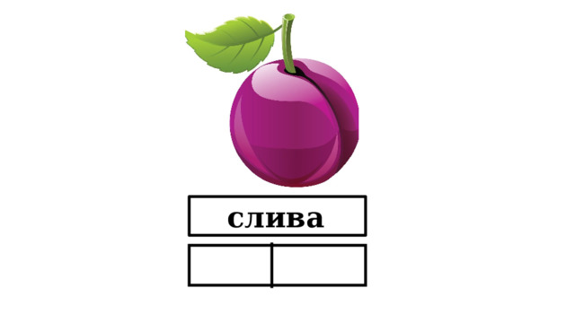 слива  