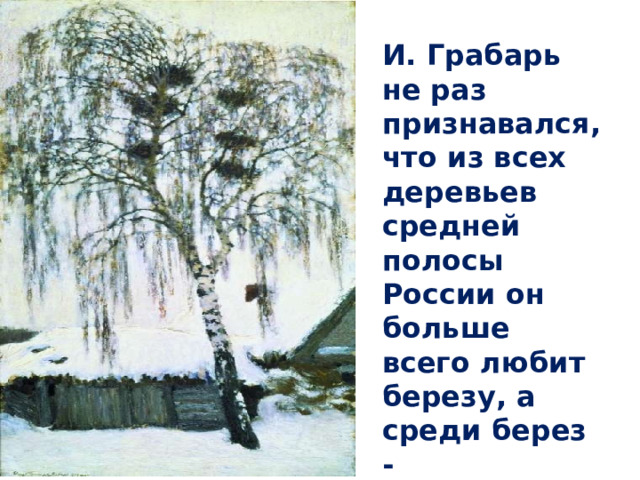 И. Грабарь не раз признавался, что из всех деревьев средней полосы России он больше всего любит березу, а среди берез - 