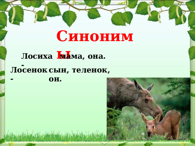 Синонимы Лосиха - мама, она. Лосенок - сын, теленок, он. 