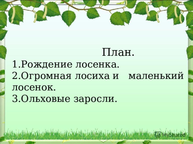  План. 1.Рождение лосенка. 2.Огромная лосиха и маленький лосенок. 3.Ольховые заросли. 
