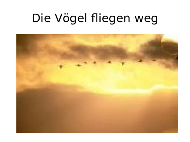 Die Vögel fliegen weg 