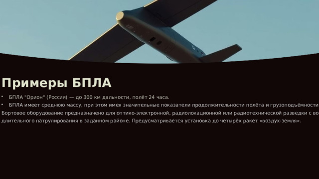 Примеры БПЛА БПЛА 