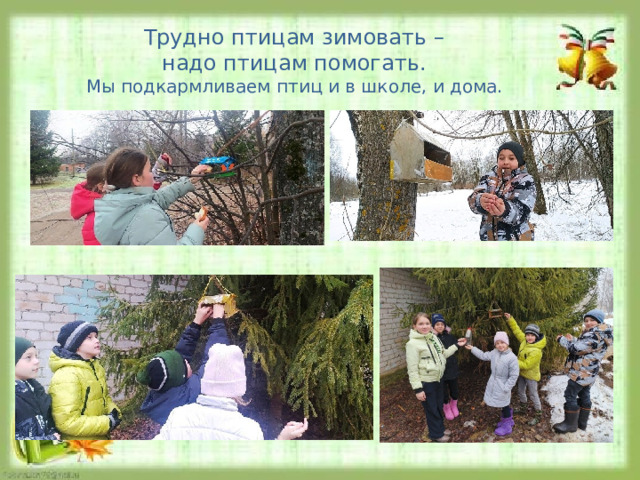 Трудно птицам зимовать – надо птицам помогать.  Мы подкармливаем птиц и в школе, и дома. 
