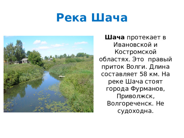Река Шача Шача  протекает в Ивановской и Костромской областях. Это правый приток Волги. Длина составляет 58 км. На реке Шача стоят города Фурманов, Приволжск, Волгореченск. Не судоходна. 