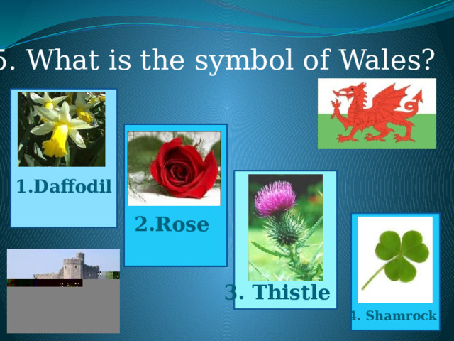5. What is the symbol of Wales? 1.Daffodil 2.Rose 3. Thistle 4. Shamrock 