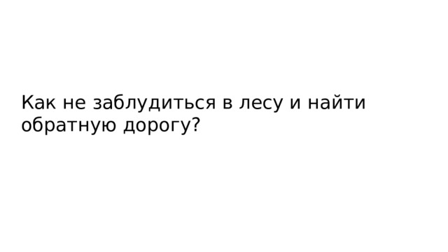Как не заблудиться в лесу и найти обратную дорогу? 