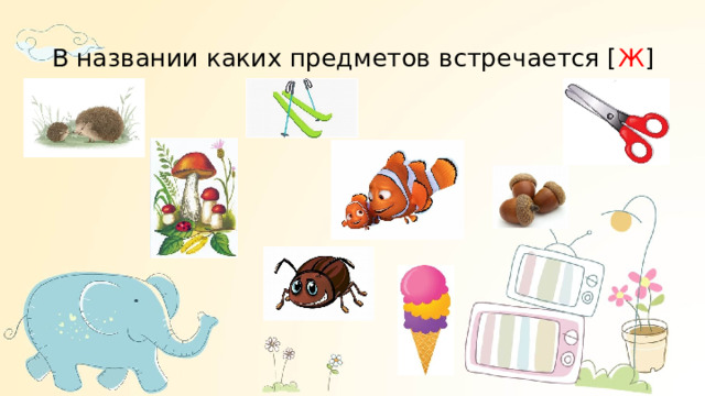 В названии каких предметов встречается [ Ж ] . 