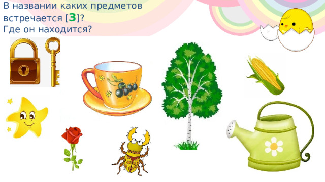 В названии каких предметов встречается [ З ]?  Где он находится? . 