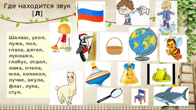 Где находится звук [ Л ] Шалаш, укол, лужа, пол, глаза, дятел, лукошко, глобус, отдел, лама, пчела, юла, колокол, лучик, акула, флаг, лупа, стул. 