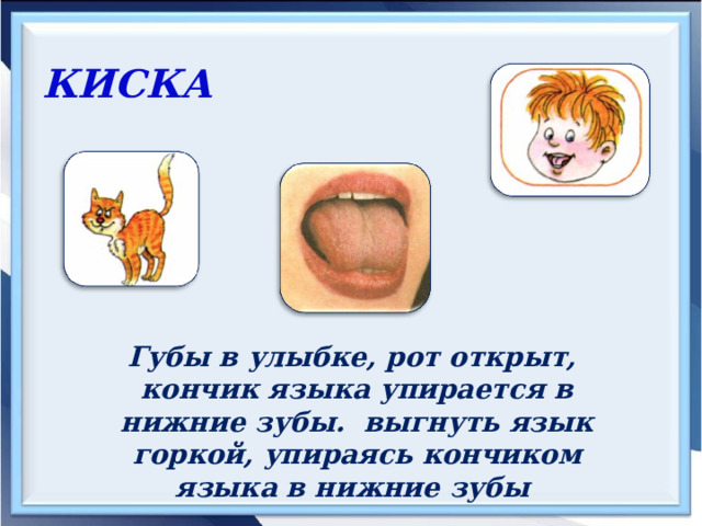 КИСКА  Губы в улыбке, рот открыт, кончик языка упирается в нижние зубы. выгнуть язык горкой, упираясь кончиком языка в нижние зубы 
