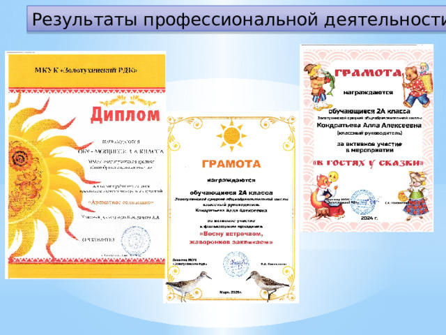 Результаты профессиональной деятельности 