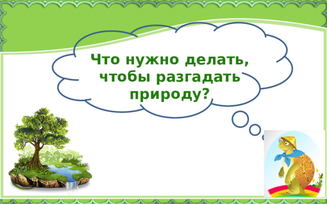 Что нужно делать, чтобы разгадать природу? 
