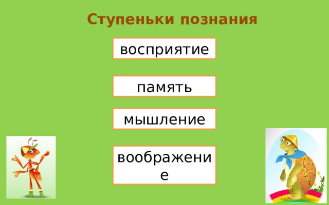 Ступеньки познания восприятие память мышление воображение 