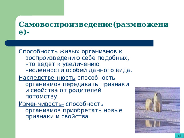 Самовоспроизведение(размножение)- Способность живых организмов к воспроизведению себе подобных, что ведёт к увеличению численности особей данного вида. Наследственность -способность организмов передавать признаки и свойства от родителей потомству. Изменчивость- способность организмов приобретать новые признаки и свойства . 
