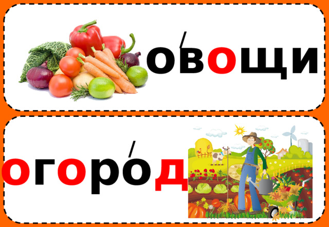 / ов о щи / о г о ро д 
