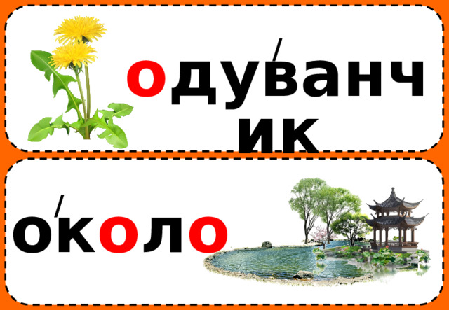 / о дуванчик / ок о л о 