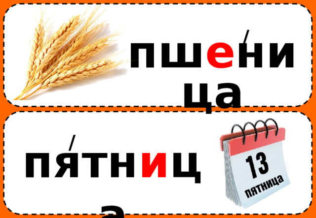 / пш е ница / пятн и ца 