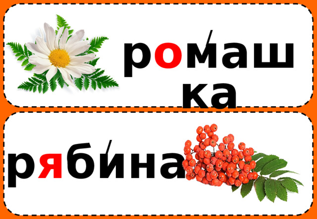 / р о машка / р я бина 