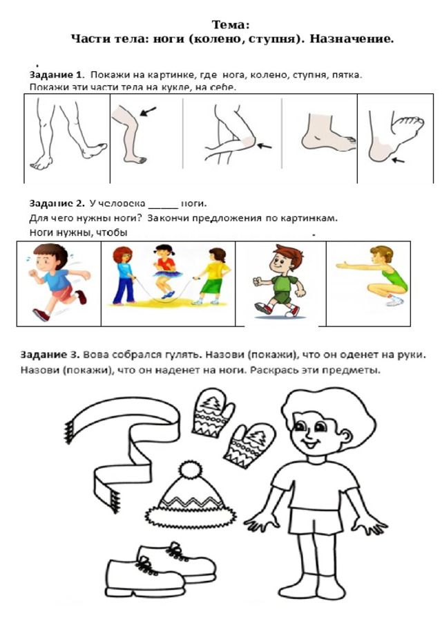 Тема: Части тела: ноги (колено, ступня). Назначение. 