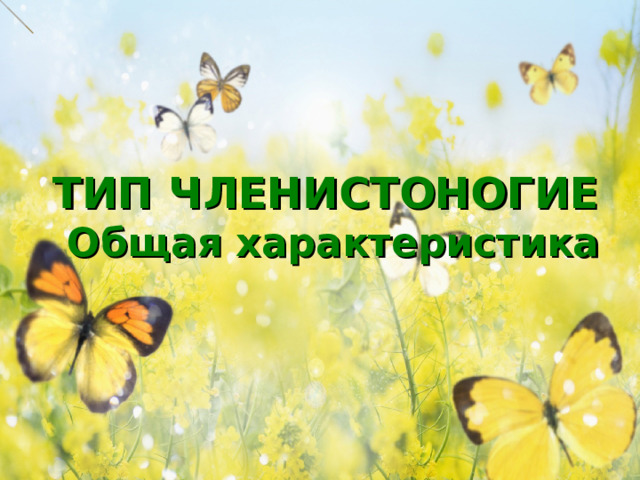 ТИП ЧЛЕНИСТОНОГИЕ  Общая характеристика Членистоногие – самый высокоразвитый т наиболее богатый видами тип среди беспозвоночных животных.  
