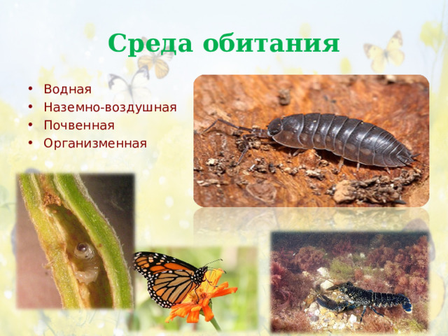 Среда обитания Водная Наземно-воздушная Почвенная Организменная  
