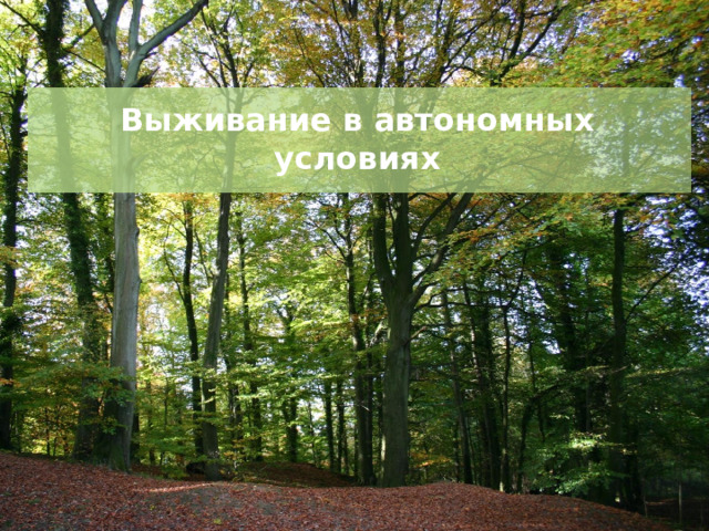 Выживание в автономных условиях 