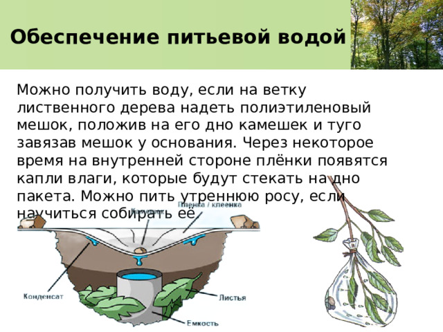 Обеспечение питьевой водой Можно получить воду, если на ветку лиственного дерева надеть полиэтиленовый мешок, положив на его дно камешек и туго завязав мешок у основания. Через некоторое время на внутренней стороне плёнки появятся капли влаги, которые будут стекать на дно пакета. Можно пить утреннюю росу, если научиться собирать её. 