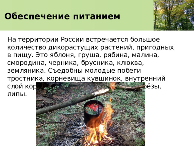   Обеспечение питанием    На территории России встречается большое количество дикорастущих растений, пригодных в пищу. Это яблоня, груша, рябина, малина, смородина, черника, брусника, клюква, земляника. Съедобны молодые побеги тростника, корневища кувшинок, внутренний слой коры молодых деревьев, почки берёзы, липы. 