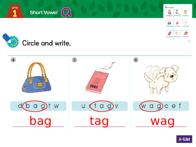 bag tag wag 21 