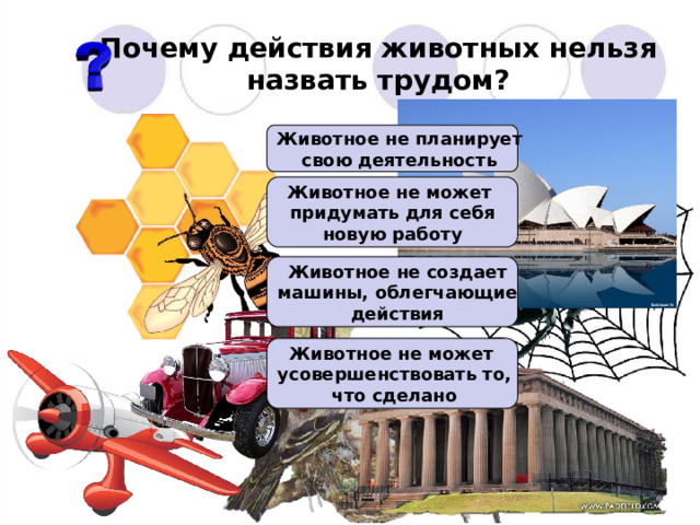 Почему действия животных нельзя назвать трудом? Животное не планирует свою деятельность Животное не может придумать для себя новую работу Животное не создает машины, облегчающие действия Животное не может усовершенствовать то, что сделано 