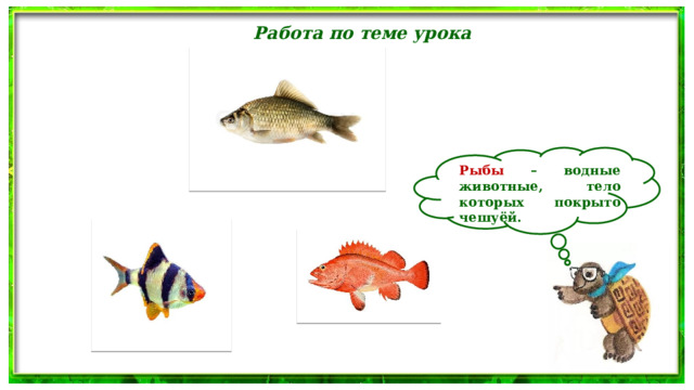 Работа по теме урока  Рыбы – водные животные, тело которых покрыто чешуёй. 