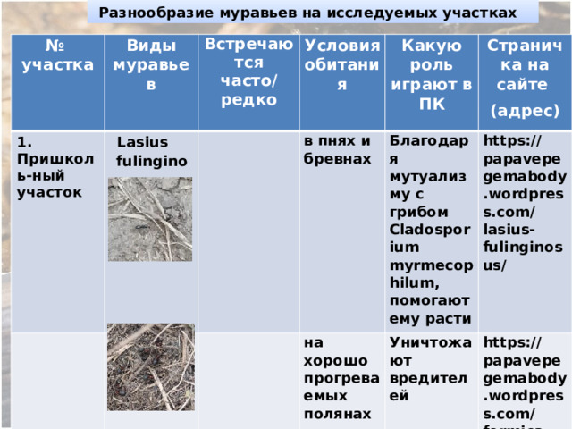  Разнообразие муравьев на исследуемых участках № участка 1. Виды муравьев Пришколь-ный участок Встречаются Lasius fulinginosus Formica pratensis    Условия обитания часто/ редко Какую роль играют в ПК  в пнях и бревнах   Благодаря мутуализму с грибом Cladosporium myrmecophilum, помогают ему расти на хорошо прогреваемых полянах Страничка на сайте Уничтожают вредителей (адрес) https://papavepegemabody.wordpress.com/lasius-fulinginosus/ https://papavepegemabody.wordpress.com/formica-pratensis/ 