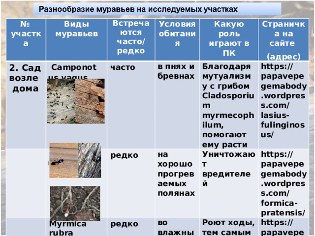 № участка 2. Сад возле Виды муравьев Встречаются Camponotus vagus  дома часто  Camponotus fallax Условия обитания часто/ редко Какую роль играют в ПК в пнях и бревнах   редко Myrmica rubra редко Благодаря мутуализму с грибом Cladosporium myrmecophilum, помогают ему расти на хорошо прогреваемых полянах  Страничка на сайте Уничтожают вредителей во влажных местах (адрес) https://papavepegemabody.wordpress.com/lasius-fulinginosus/ Роют ходы, тем самым насыщая почву кислородом https://papavepegemabody.wordpress.com/formica-pratensis/ https://papavepegemabody.wordpress.com/myrmica-rubra/ 