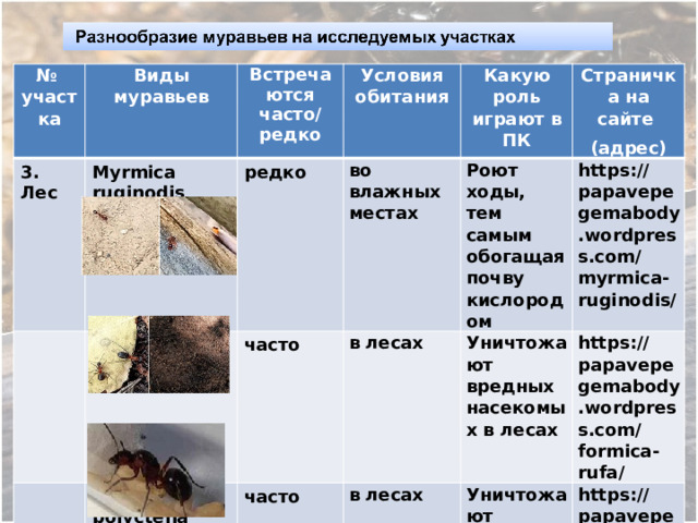 № участка 3. Лес Виды муравьев Встречаются Myrmica ruginodis Formica rufa редко  Условия обитания часто/ редко Formica polyctena Какую роль играют в ПК во влажных местах  часто Страничка на сайте Роют ходы, тем самым обогащая почву кислородом в лесах часто  в лесах https://papavepegemabody.wordpress.com/myrmica-ruginodis/ Уничтожают вредных насекомых в лесах (адрес) https://papavepegemabody.wordpress.com/formica-rufa/ Уничтожают вредных насекомых в лесах https://papavepegemabody.wordpress.com/formica-polyctena/ 