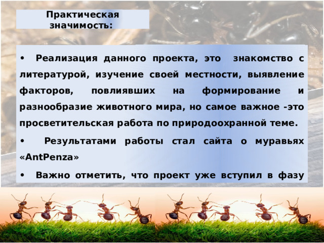 Практическая значимость: •  Реализация данного проекта, это знакомство с литературой, изучение своей местности, выявление факторов, повлиявших на формирование и разнообразие животного мира, но самое важное -это просветительская работа по природоохранной теме. •   Результатами работы стал сайта о муравьях «AntPenza» •  Важно отметить, что проект уже вступил в фазу реализации (просветительская работа в классе среди одноклассников мною ведется уже с 7 класса! 