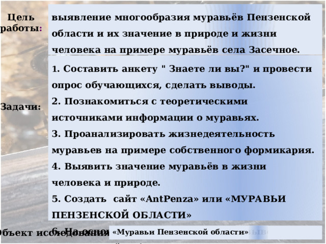 выявление многообразия муравьёв Пензенской области и их значение в природе и жизни человека на примере муравьёв села Засечное. Цель работы :  1 . Составить анкету 