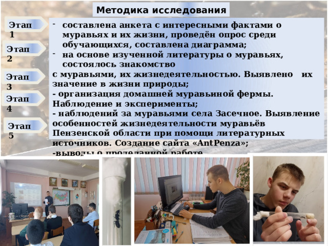Методика исследования Этап 1 составлена анкета с интересными фактами о муравьях и их жизни, проведён опрос среди обучающихся, составлена диаграмма; на основе изученной литературы о муравьях, состоялось знакомство с муравьями, их жизнедеятельностью. Выявлено их значение в жизни природы; - организация домашней муравьиной фермы. Наблюдение и эксперименты; - наблюдений за муравьями села Засечное. Выявление особенностей жизнедеятельности муравьёв Пензенской области при помощи литературных источников. Создание сайта «AntPenza»; -выводы о проделанной работе. Этап 2 Этап 3 Этап 4 Этап 5  