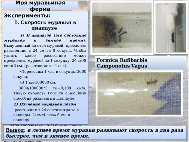 Моя муравьиная ферма Эксперименты: 1. Скорость муравья в диапаузе   1) В диапаузе (это состояние муравьев в зимнее время): Выпущенный на стол муравей, преодолел расстояние в 24 см за 8 секунд. Чтобы узнать какое расстояние может преодолеть муравей за 1 секунду, 24 см/8 сек=3 см. (расстояние за 1 сек). Переводим 1 час в секунды-3600 секунд. В 1 км-100000 см.  3600/100000*3 см=0,108 км/ч. Такую скорость Formica cunicularia способна развивать в диапаузе. 2) Изучение муравьев летом :  расстояние в 24 сантиметра за 4 секунды. 24см/4 сек= 6 см. в секунду.  3600/100000*4см=0,216 км/ч. Такую скорость  Formica cunicularia способна развивать в летнее  время.  Formica Rufibarbis Camponotus Vagus Вывод : в летнее время муравьи развивают скорость в два раза быстрее, чем в зимнее время. 