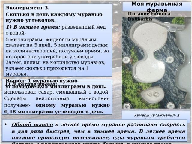 Моя муравьиная ферма Эксперимент 3. Сколько в день каждому муравью нужно углеводов. 1) В зимнее время: разведенный мед с водой- 5 миллиграмм жидкости муравьям хватает на 5 дней. 5 миллиграмм делим на количество дней, получаем время, за которое они употребили углеводы. Затем, делим на количество муравьев, узнаем сколько приходится на 1 муравья. Вывод: 1 муравью нужно углеводов-0,25 миллиграмм в день . Питание Formica Rufibarbis В летнее время:  использовал сахар, смешанный с водой. Сделаем аналогичные вычисления получаем- одному муравью нужно 0,18 миллиграмм углеводов в день.    камеры увлажнения- в формикарии Общий вывод: в летнее время муравьи развивают скорость в два раза быстрее, чем в зимнее время. В летнее время питание происходит интенсивнее, еды муравьям требуется больше,  а вот углеводов нужно больше, в зимнее время.   