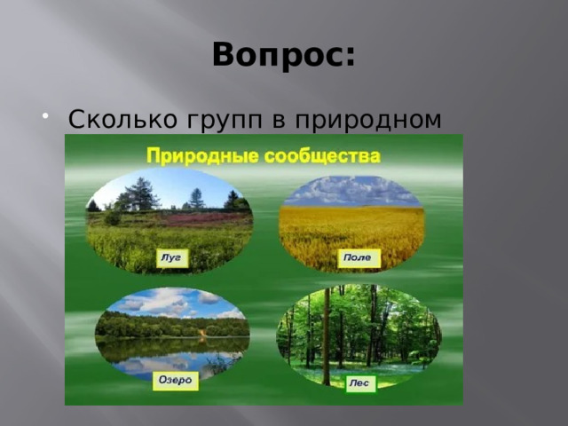 Вопрос: Сколько групп в природном сообществе? 