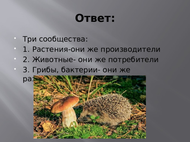 Ответ: Три сообщества: 1. Растения-они же производители 2. Животные- они же потребители 3. Грибы, бактерии- они же разрушители 