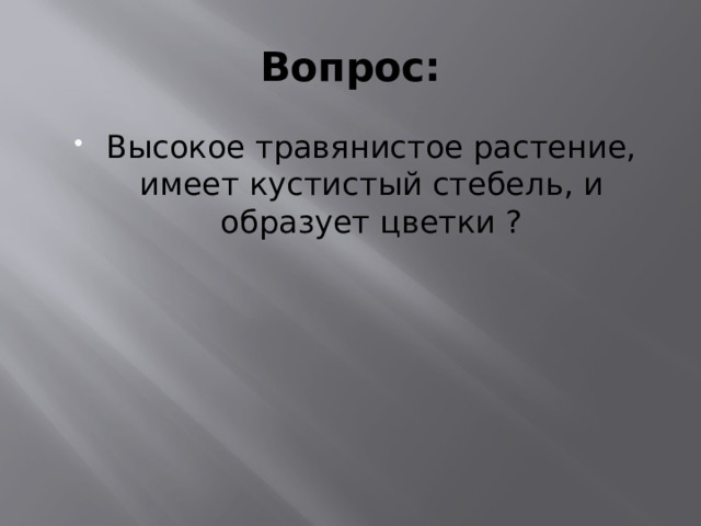 Вопрос: Высокое травянистое растение, имеет кустистый стебель, и образует цветки ? 