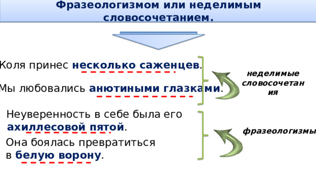 Фразеологизмом или неделимым словосочетанием.  Коля принес несколько саженцев . неделимые словосочетания Мы любовались анютиными глазками .  Неуверенность в себе была его  ахиллесовой пятой . фразеологизмы Она боялась превратиться в белую ворону .  