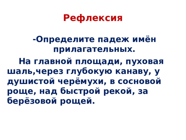 Рефлексия -Определите падеж имён прилагательных.  На главной площади, пуховая шаль,через глубокую канаву, у душистой черёмухи, в сосновой роще, над быстрой рекой, за берёзовой рощей. 