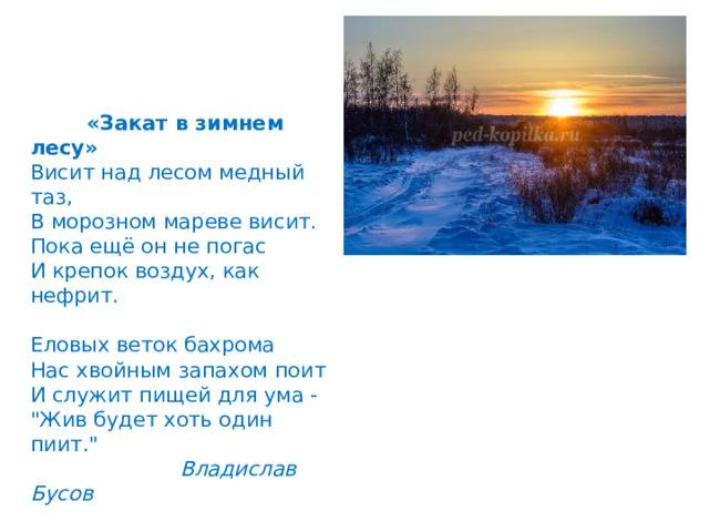     «Закат в зимнем лесу»  Висит над лесом медный таз,  В морозном мареве висит.  Пока ещё он не погас  И крепок воздух, как нефрит.   Еловых веток бахрома  Нас хвойным запахом поит  И служит пищей для ума -  