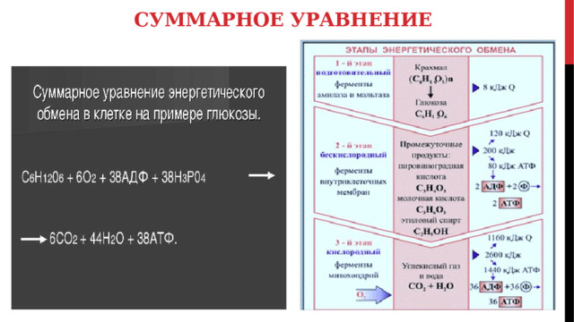 Суммарное уравнение 